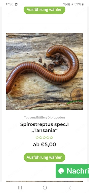 Insektenbox Kenia Zwergschaben 1000Füßler etc