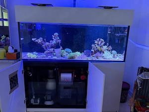 Meerwasser Aquarium Red Sea G3 525