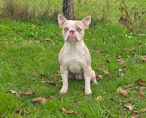 Casper- ein Prinz sucht seinen Lebensplatz