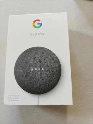 Google Nest Mini 