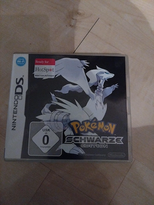 Nintendo DS Spiel