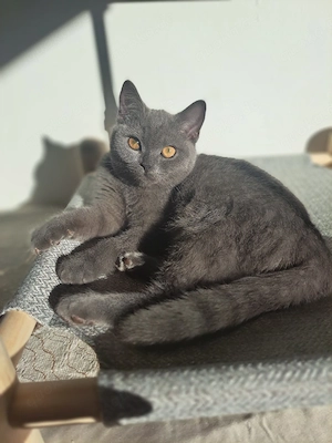 BKH Mädchen 