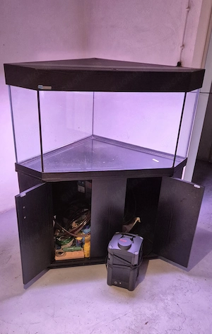 Aquarium zu verschenken