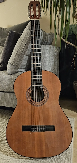 Konzertgitarre Hohner MC-06