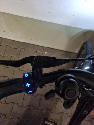 Damen E Bike