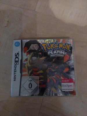 Nintendo DS Spiel