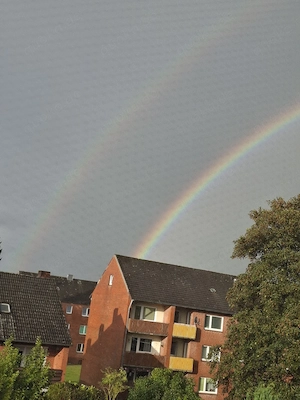2 Zimmer Wohnung gesucht. 