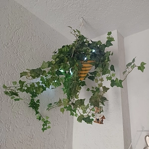 Hängeampel mit künstl. Efeu 