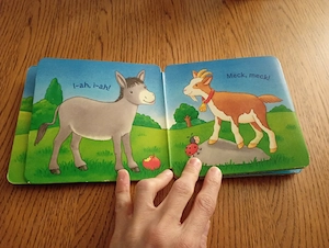 Klappbuch Tiere ministeps ab 3 Monaten Ravensburger 