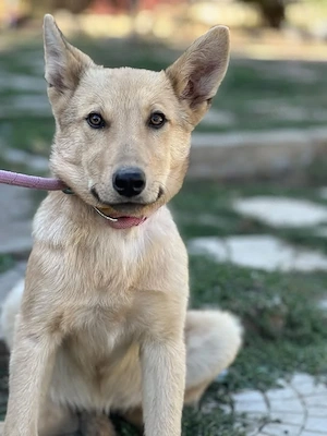 Liz w   3 26 sucht ihre lieblings Menschen 