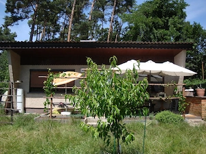Fester, bewohnbarer Bungalow   Haus auf Gemeindepacht  - Land im Schlaubetal, Preis VS