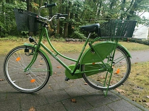 Holland Damen Rad grün