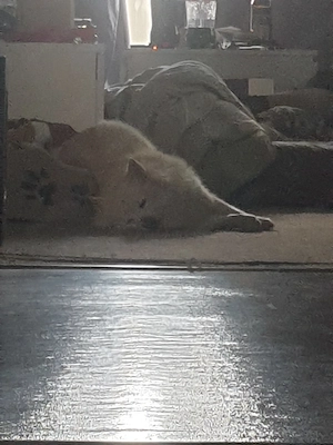 Maja 10 Jahre alt 