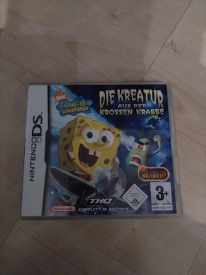 Nintendo DS Spiel