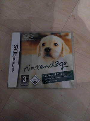 Nintendo DS Spiel