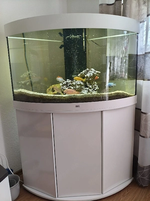 Juwel Eck-Aquarium 190 Liter mit Schrank und Technik