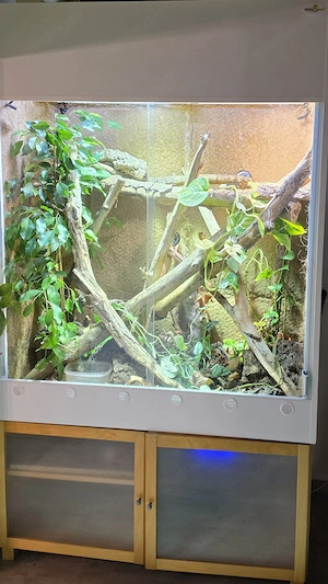 Großes Kunststoff terrarium mit unterschrank 