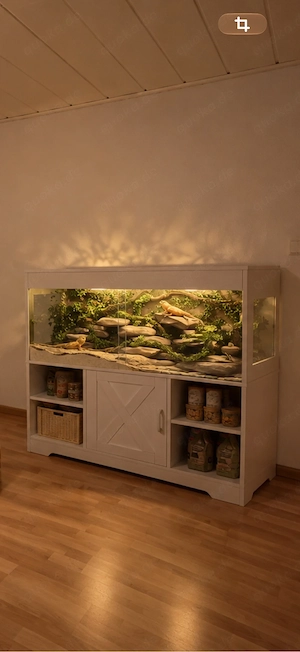 Terrarium 120x60x60 inklusive Pacman Frosch und dekoration