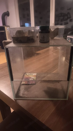 kleine Terrarien