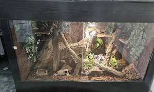Großes Holz-Terrarium 150x75x100 mit Technik
