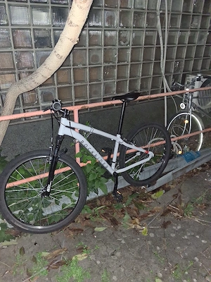 Mountainbike Rockrider 21 Gang Federgabel 26 Zoll